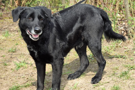 Profile picture of Tajfun