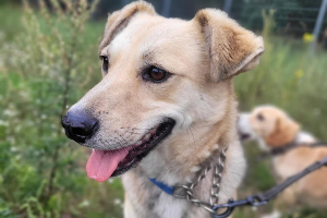 Profile picture of Tofu