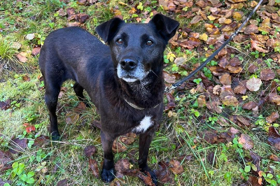 Profile picture of Tolek