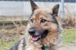 Profile picture of Uszatka