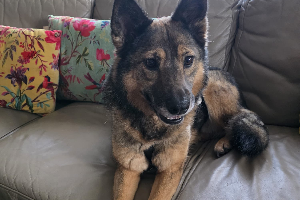 Profile picture of Uszatka