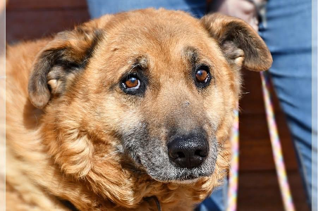 Profile picture of Wladzio