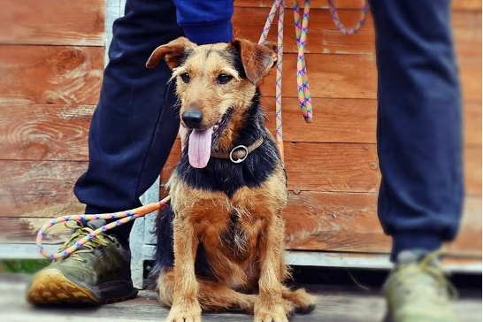 Profile picture of Zara