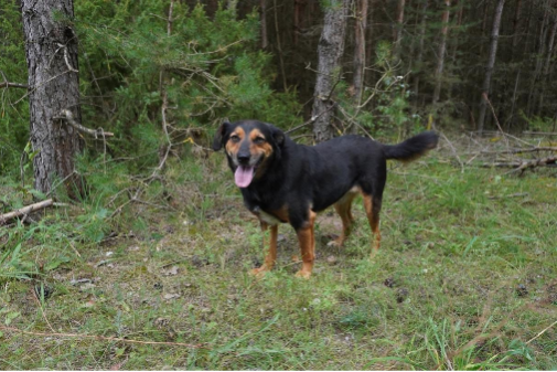 Profile picture of Zefir