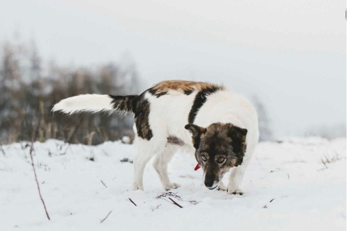 Profile picture of Zdzislawa