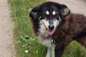Zoja